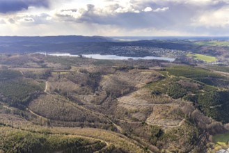 Aerial photo, forest damage in the forest area at Lake Sorpe, Höhenweg, Hachen, Sundern, Sauerland,