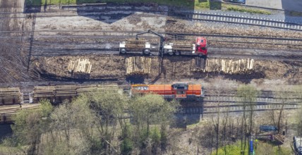 Aerial view, timber transport and loading at Sundern station, Sundern, Sauerland, North