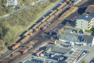 Aerial photo, timber transport and loading at Sundern station, Sundern, Sauerland, North