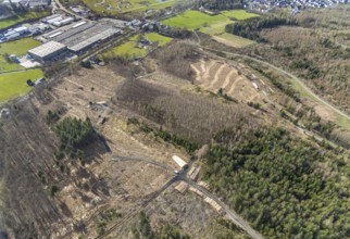 Aerial photo, forest damage in the forest area near Hachen, Sundern, Sauerland, North