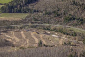 Aerial photo, forest damage in the forest area near Hachen, Sundern, Sauerland, North