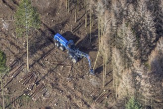 Aerial view, forest damage in forest area with harvester near Hellefeld, Westenfeld, Sundern,