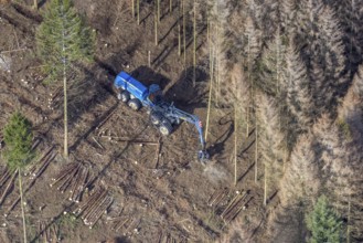 Aerial view, forest damage in forest area with harvester near Hellefeld, Westenfeld, Sundern,