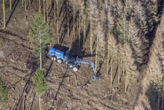 Aerial view, forest damage in forest area with harvester near Hellefeld, Westenfeld, Sundern,