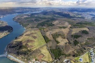 Aerial photo, forest damage in the forest area at Sorpesee, Amecke, Sundern, Sauerland, North