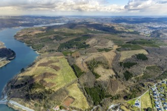 Aerial photo, forest damage in the forest area at Sorpesee, Amecke, Sundern, Sauerland, North