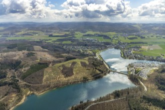 Aerial photo, forest damage in the forest area at Sorpesee, Amecke, Sundern, Sauerland, North