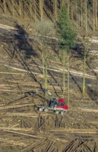 Aerial view, forest damage in forest area with harvester near Hellefeld, Westenfeld, Sundern,