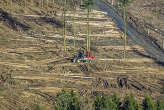 Aerial view, forest damage in forest area with harvester near Hellefeld, Westenfeld, Sundern,