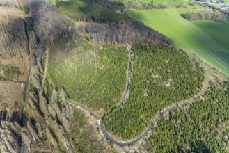 Aerial photo, forest damage in the forest area near Hellefeld, Westenfeld, Sundern, Sauerland,