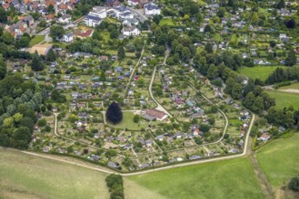 Aerial view, allotment garden site in the south of Schwerte, a week ago there was still land under