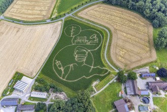Benedikt Lünemann conjures up a maize labyrinth in his field every year. It is usually socially
