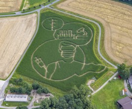 Benedikt Lünemann conjures up a maize labyrinth in his field every year. It is usually socially