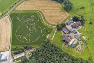 Benedikt Lünemann conjures up a maize labyrinth in his field every year. It is usually socially