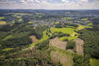Aerial view, forest area with forest damage in Rhode, Olpe, Sauerland, North Rhine-Westphalia,