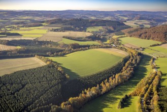 Aerial view, meadows and fields in a hilly landscape in the district of Berghausen in