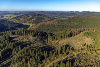 Aerial view, forest area with forest damage in the district Oberrarbach in Schmallenberg,
