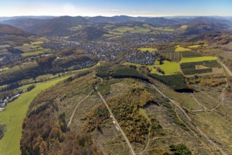 Aerial photograph, forest area with forest damage in the Bigge district of Olsberg, Sauerland,