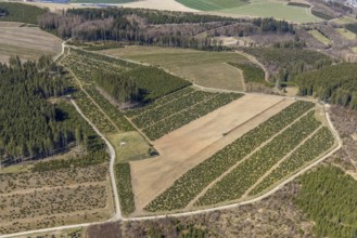 Aerial view, field work with tractor, Am Donscheid, Fredeburg, Schmallenberg, Sauerland, North