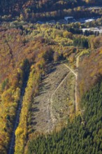 Luftbild, Waldgebiet mit Waldschäden im Ortsteil Bigge in Olsberg, Sauerland, Nordrhein-Westfalen,