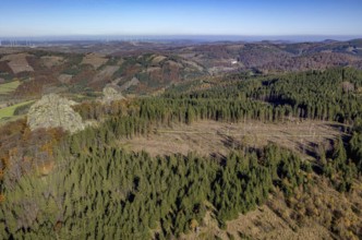 Aerial view, autumn forest and forest damage and Bruchhauser Steine in the district Bruchhausen in