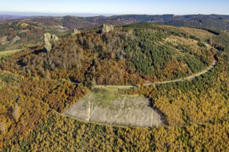 Aerial view, autumn forest and Bruchhauser Steine in the district Bruchhausen in Olsberg,