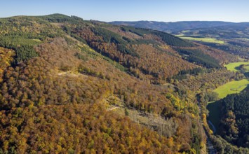 Aerial view, autumn forest and Bruchhauser Steine in the district Bruchhausen in Olsberg,