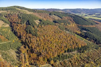 Aerial view, autumn forest and Bruchhauser Steine in the district Bruchhausen in Olsberg,