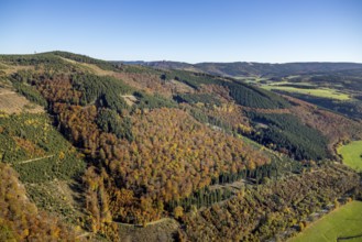 Aerial view, autumn forest and Bruchhauser Steine in the district Bruchhausen in Olsberg,