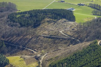 Aerial photo, forest damage and tree death at Wilzenberg, Winkhausen, Schmallenberg, Sauerland,