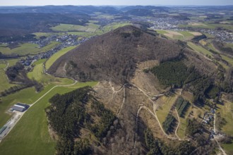 Aerial view, forest damage and tree dieback at Wilzenberg, Winkhausen, Schmallenberg, Sauerland,