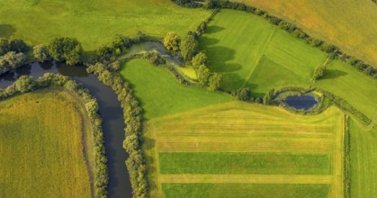 Aerial view, river Ems in the nature reserve Emsaue at the district Gellendorf in Rheine,
