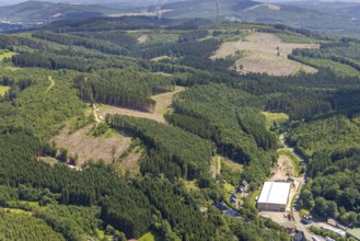 Aerial view, forest area with forest damage and clear cutting, Neuenkleusheimer Wald,