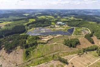 Aerial view, forest area with forest damage and clear cutting, area covered with plastic tarpaulins