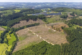 Aerial view, forest area with forest damage and clear cutting, area covered with plastic tarpaulins