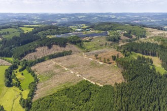 Aerial view, forest area with forest damage and clear cutting, area covered with plastic tarpaulins
