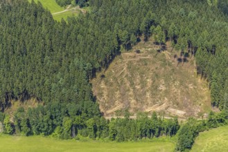 Aerial view, forest area with forest damage in Oberveischede, Olpe, Sauerland, North