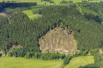 Aerial view, forest area with forest damage in Oberveischede, Olpe, Sauerland, North