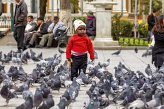 A small child stands among a large group of pigeons in a busy municipal park, A small boy stands