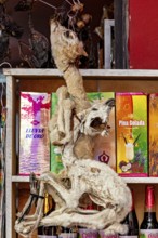 A dried animal in front of colourful drinks cartons on a shelf appears exotic, The witches' market