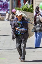 A man carries a large bag of herbs on a sunny city street, A man carries a heavy basket through the