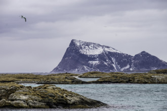 Norway tromsö snow mountains sea