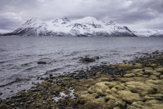 Norway tromsö snow mountains sea