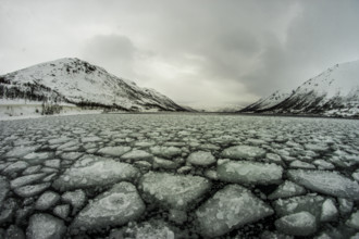 Norway tromsö ice floes ice winter cold mountains