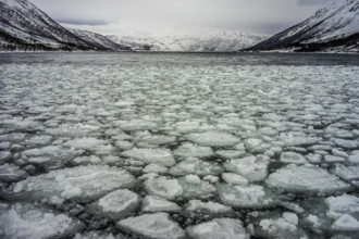 Norway tromsö ice floes ice winter cold mountains