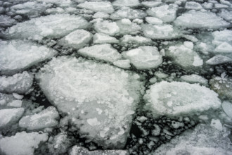 Norway tromsö ice floes ice winter cold