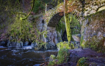 Bridge at the Hermitage, Dunkeld, Scotland, United Kingdom