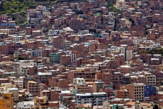 Dense cluster of houses on hills in an urban environment, The houses and skyscrapers of the city