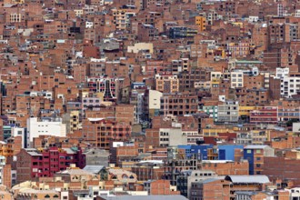 Dense collection of brick houses in an urban environment, The houses and skyscrapers of the city