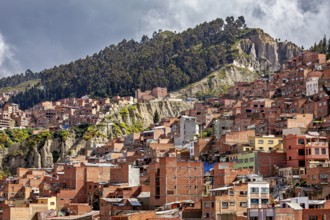 Brick houses on a wooded hill in an urban setting, The houses and skyscrapers of the city centre of
